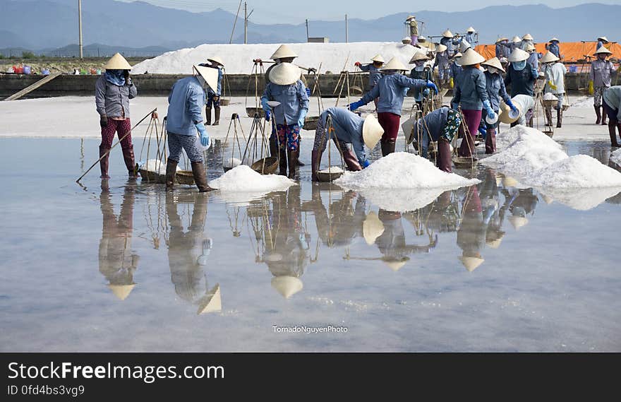 SALT FIELD