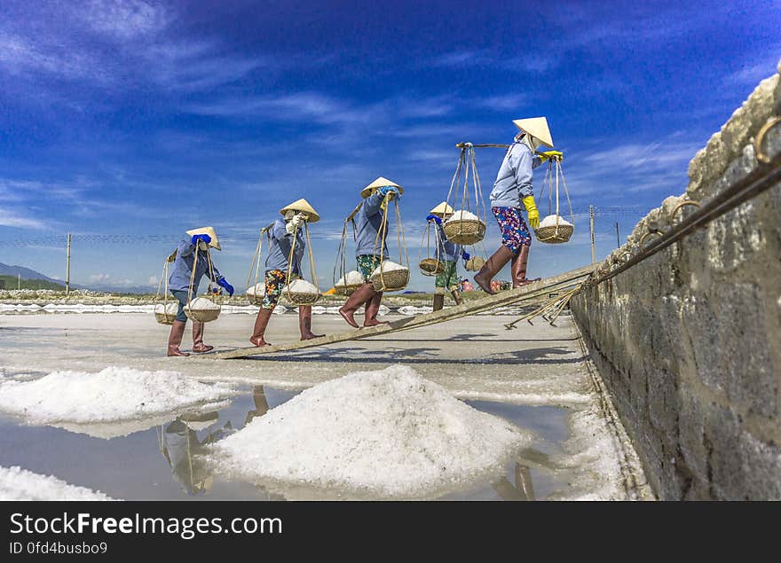 SALT FIELD