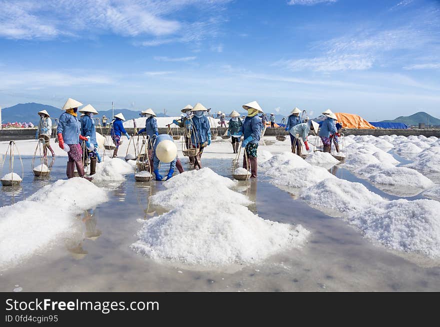 SALT FIELD