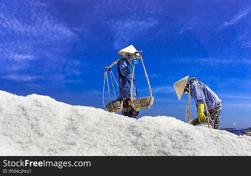 SALT FIELD