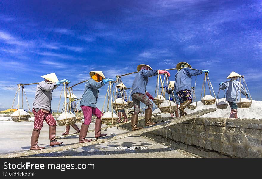 SALT FIELD