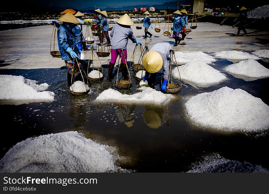 SALT FIELD