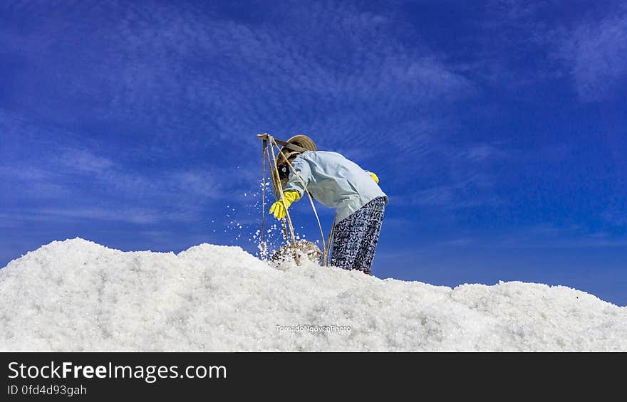 SALT FIELD