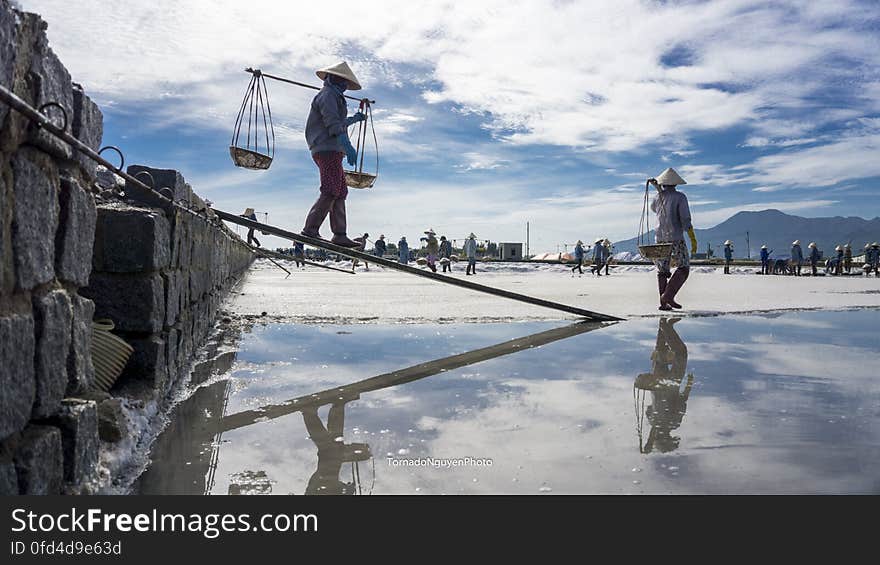 SALT FIELD