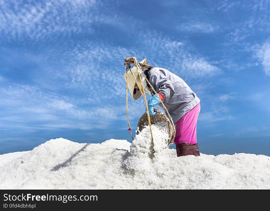 SALT FIELD