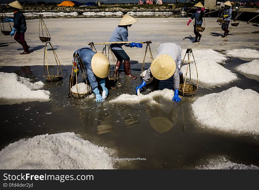 SALT FIELD