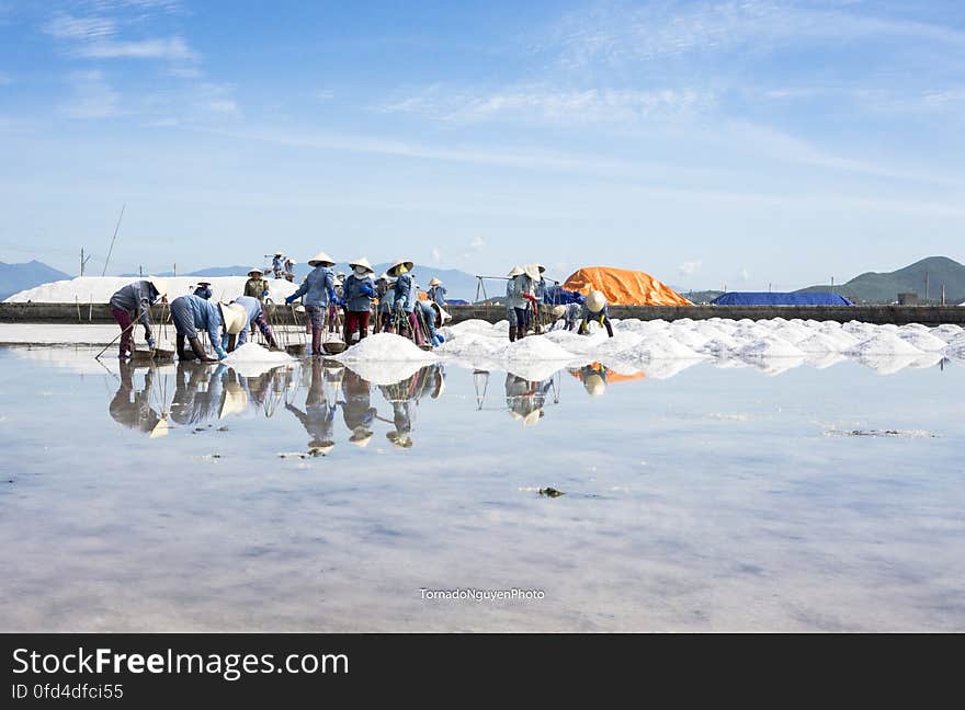 SALT FIELD