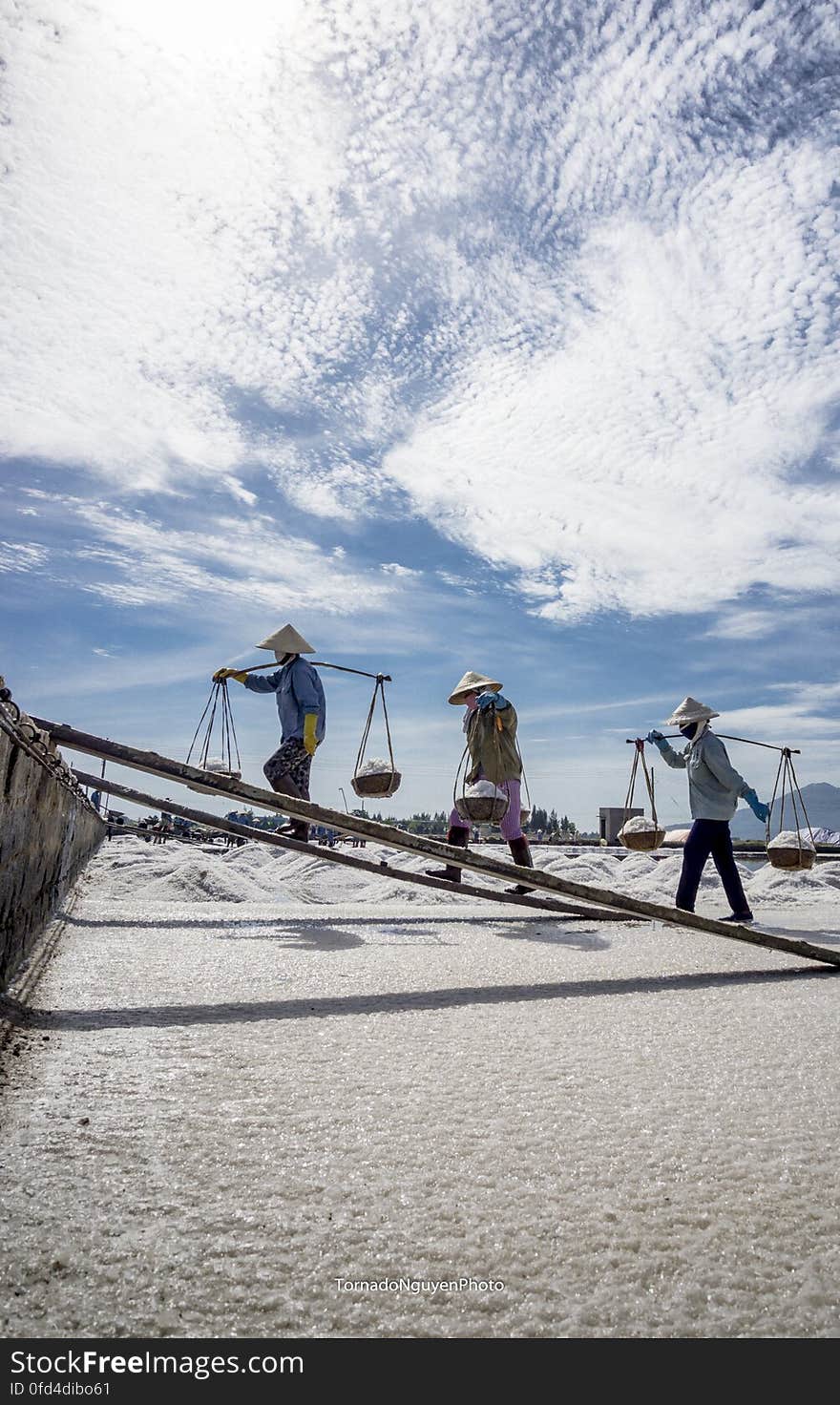 SALT FIELD