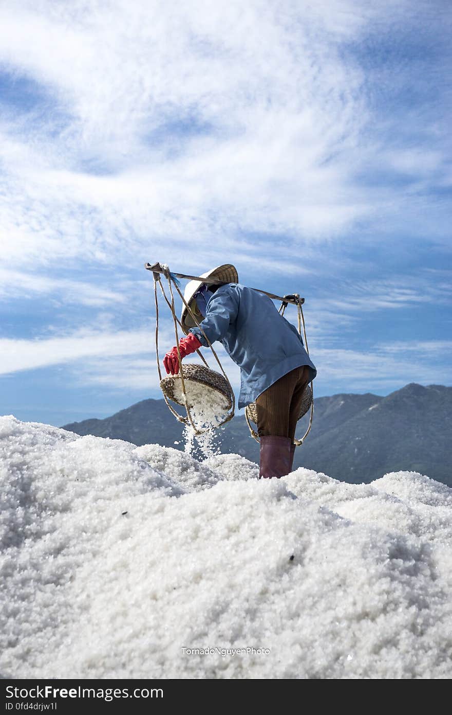 SALT FIELD