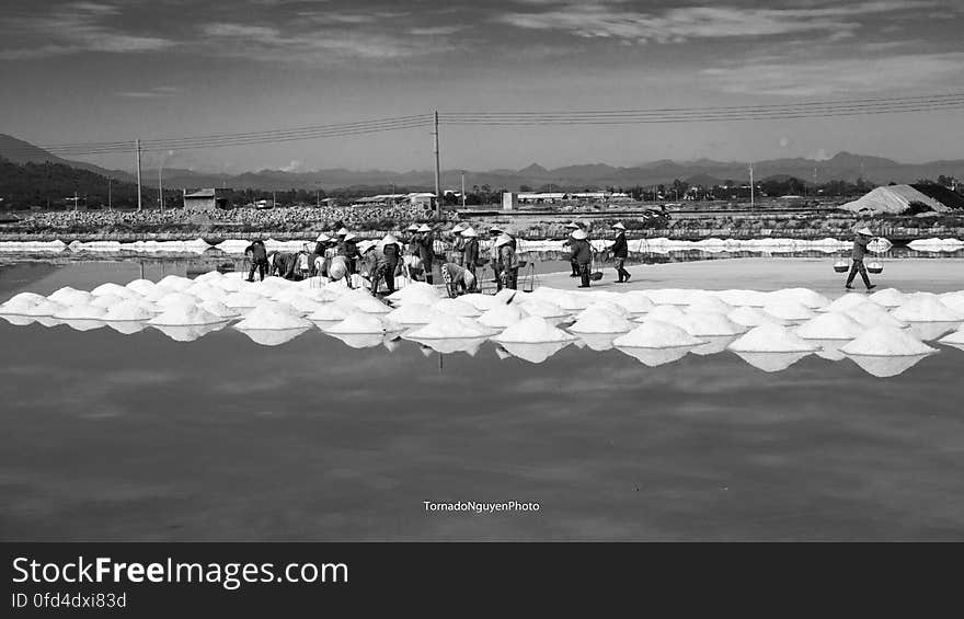 SALT FIELD