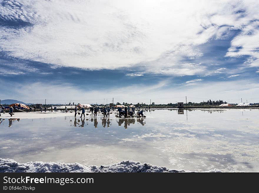 SALT FIELD