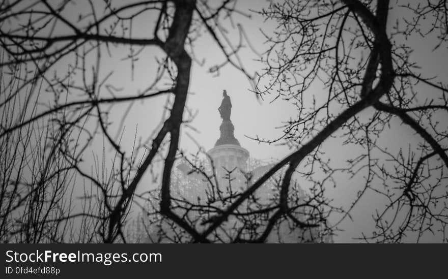 The Statue of Freedom atop the scaffold-covered dome of the United States Capitol in Washington, DC is viewed through tree branches at the height of the &#x27;Snowzilla&#x27; blizzard, in the early morning hours of January 23, 2016. Dedicated to the public domain with a CC0 license. The Statue of Freedom atop the scaffold-covered dome of the United States Capitol in Washington, DC is viewed through tree branches at the height of the &#x27;Snowzilla&#x27; blizzard, in the early morning hours of January 23, 2016. Dedicated to the public domain with a CC0 license.