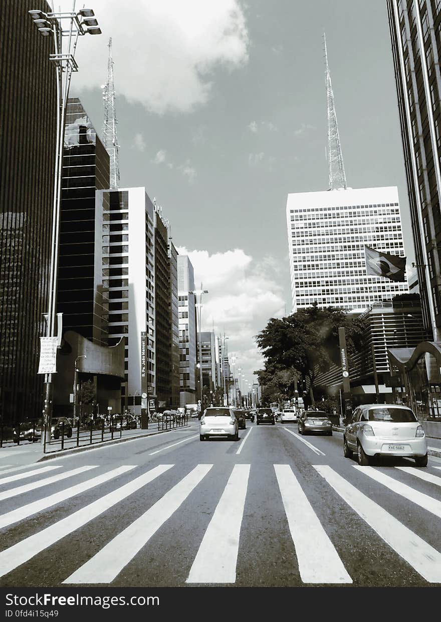 Avenida Paulista - SP