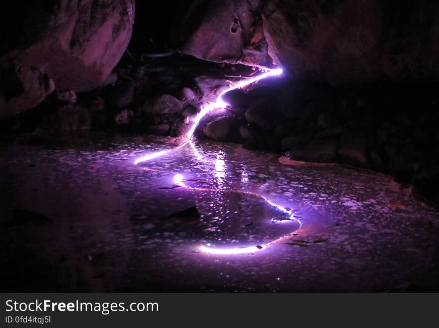 pond with purple light