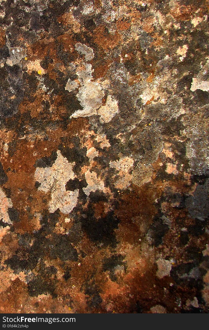 rock texture 10