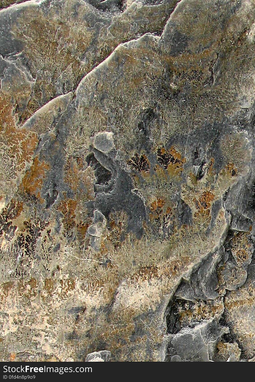 rock texture 21