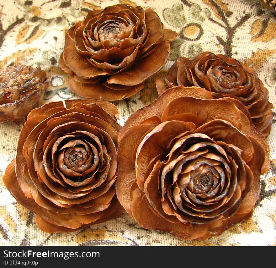 pine cone roses 3