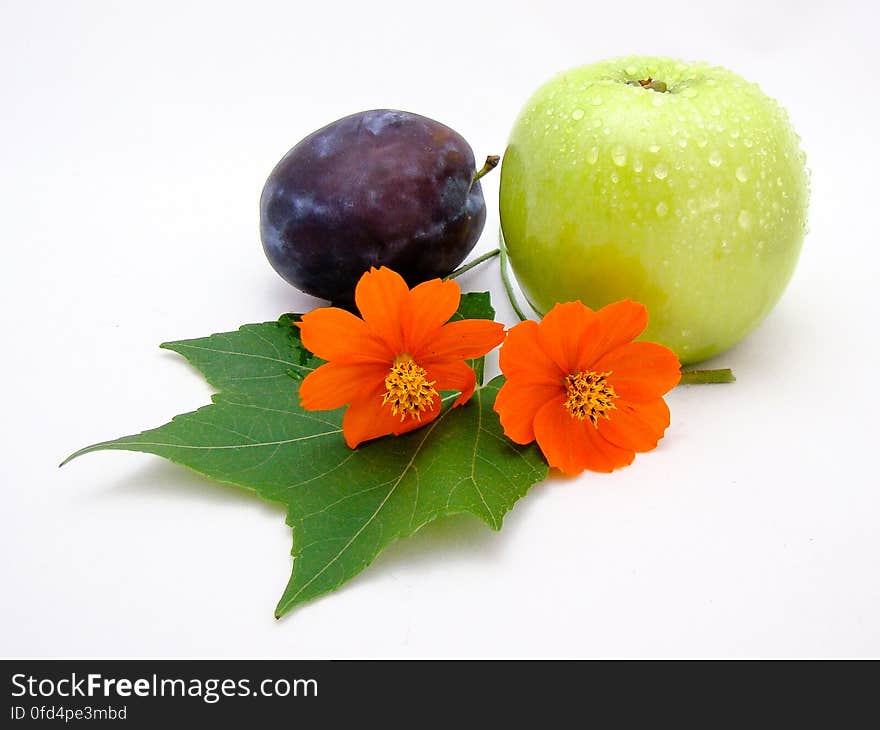 Plum, apple and orange flowers on a leaf. Plum, apple and orange flowers on a leaf