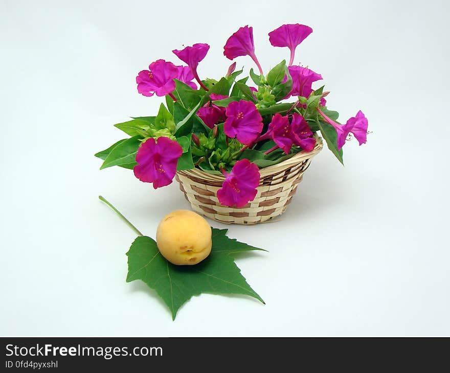 Wicker basket with flowers and apricot on a green leaf. Wicker basket with flowers and apricot on a green leaf