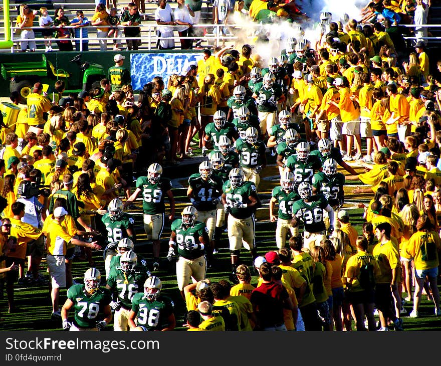 Yellow, Fan, Crowd, Event, Art, Groundcover