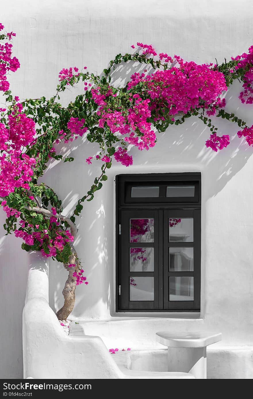 Bougainvillea in Mykonos