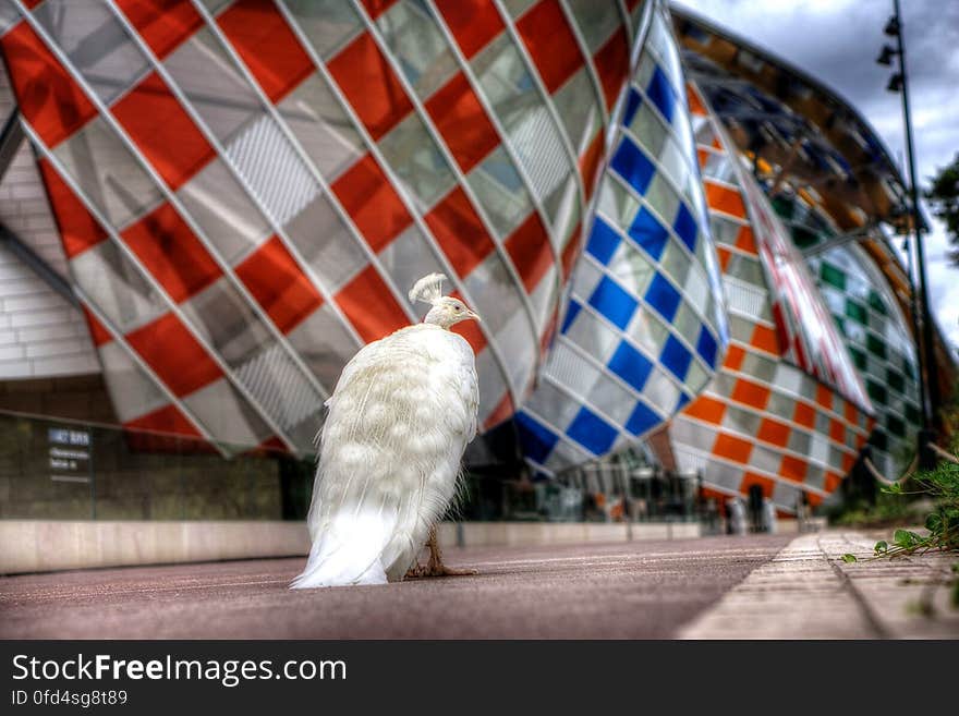 Fondation d&#x27;entreprise Louis Vuitton Louis Vuitton Foundation Architect Frank Gehry Location: Jardin d&#x27;acclimatation, Bois de Boulogne, Paris. Fondation d&#x27;entreprise Louis Vuitton Louis Vuitton Foundation Architect Frank Gehry Location: Jardin d&#x27;acclimatation, Bois de Boulogne, Paris.