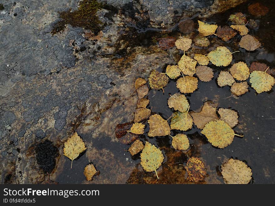 Road surface, Bedrock, Asphalt, Tints and shades, Landscape, Soil