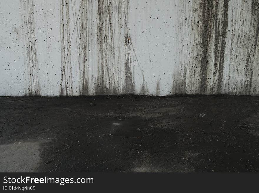 Water, Wood, Road surface, Grey, Flooring, Floor