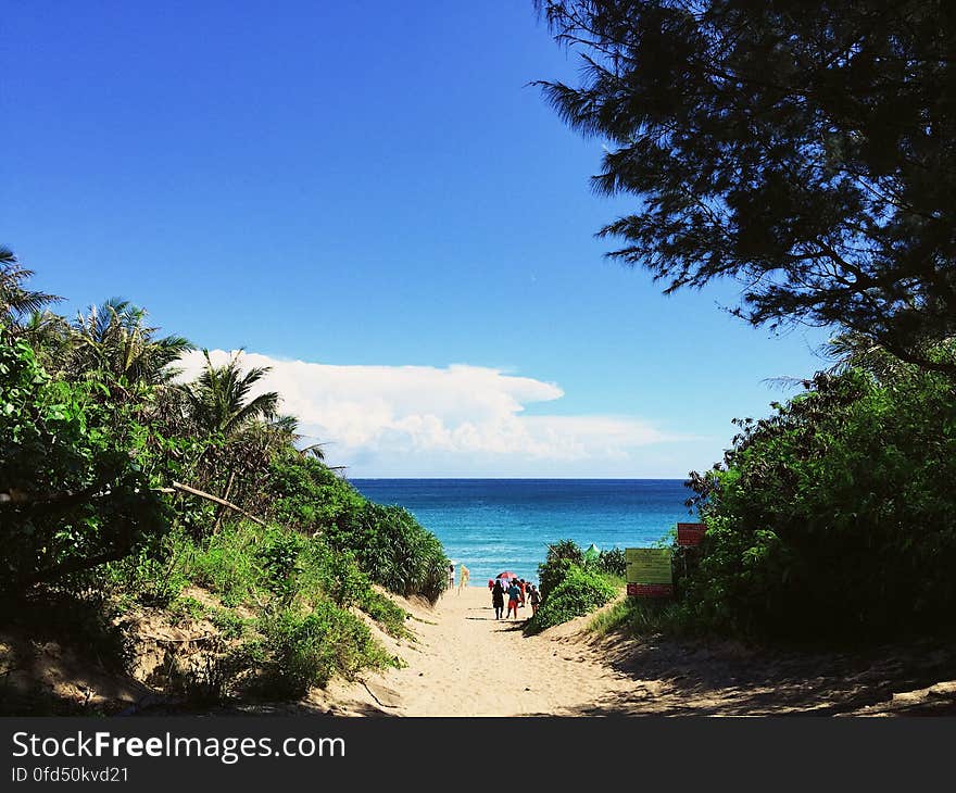 As a private scenic spot in Kenting, Baisha is famous but not much tourists know how to get there. Still keep the original beach and less-construction due to fewer visitors, water activity gear rentals are also available. Baisha is the only Kenting beach on the west side of the peninsula, about 500 meters long, 40 meters wide, the white beach is formed by shell sand and embraced by the beautiful coral reefs. You can take a walk along the shore, enjoy the view of blue sky and ocean, the calm waves make it the suitable spot for swimming and scuba diving. The longest bike trail in Taiwan starts from Baisha, the trail belongs to the territory of Kenting National Park, without the barrier of architecture, you are able to have a great sight of tropical plants along with your bike tour. Kenting, Pingtung, Taiwan. Processed with VSCO with nc preset. As a private scenic spot in Kenting, Baisha is famous but not much tourists know how to get there. Still keep the original beach and less-construction due to fewer visitors, water activity gear rentals are also available. Baisha is the only Kenting beach on the west side of the peninsula, about 500 meters long, 40 meters wide, the white beach is formed by shell sand and embraced by the beautiful coral reefs. You can take a walk along the shore, enjoy the view of blue sky and ocean, the calm waves make it the suitable spot for swimming and scuba diving. The longest bike trail in Taiwan starts from Baisha, the trail belongs to the territory of Kenting National Park, without the barrier of architecture, you are able to have a great sight of tropical plants along with your bike tour. Kenting, Pingtung, Taiwan. Processed with VSCO with nc preset