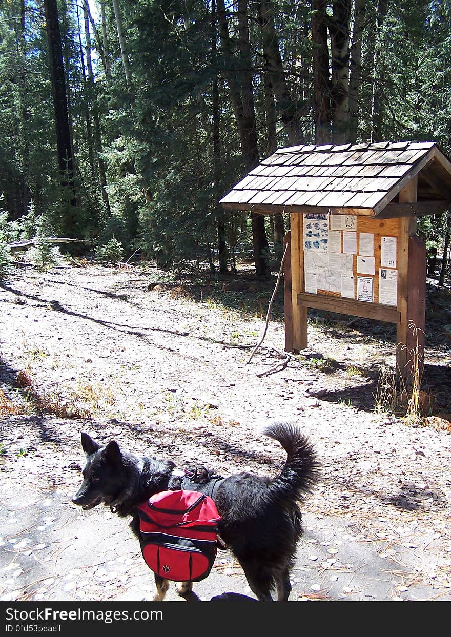 Fish Creek Trailhead