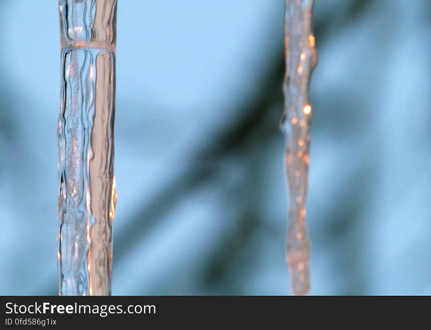 There were a bunch of icicles right in front of my door today, it was a bit scary to step under them, some look pretty sharp! It wasn&#x27;t easy to take this picture, my camera kept focusing on the tree branches behind the icicles. I had to move around quite a bit before it agreed to focus on them. x&#x29;. There were a bunch of icicles right in front of my door today, it was a bit scary to step under them, some look pretty sharp! It wasn&#x27;t easy to take this picture, my camera kept focusing on the tree branches behind the icicles. I had to move around quite a bit before it agreed to focus on them. x&#x29;