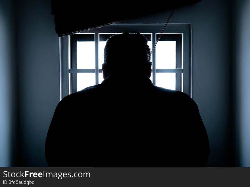 Rear View of a Silhouette Man in Window