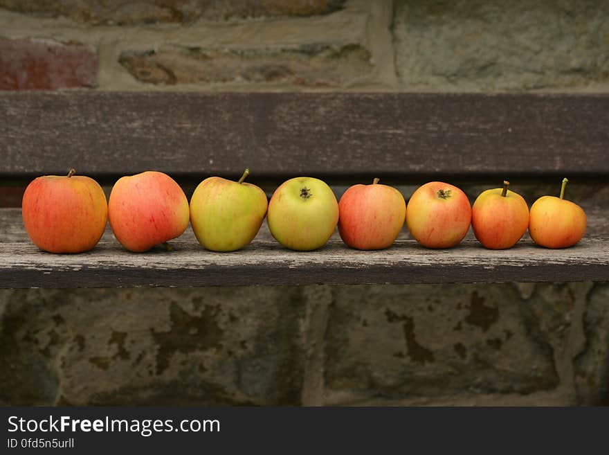 8 Apple Fruit on Top of Wooden Panel