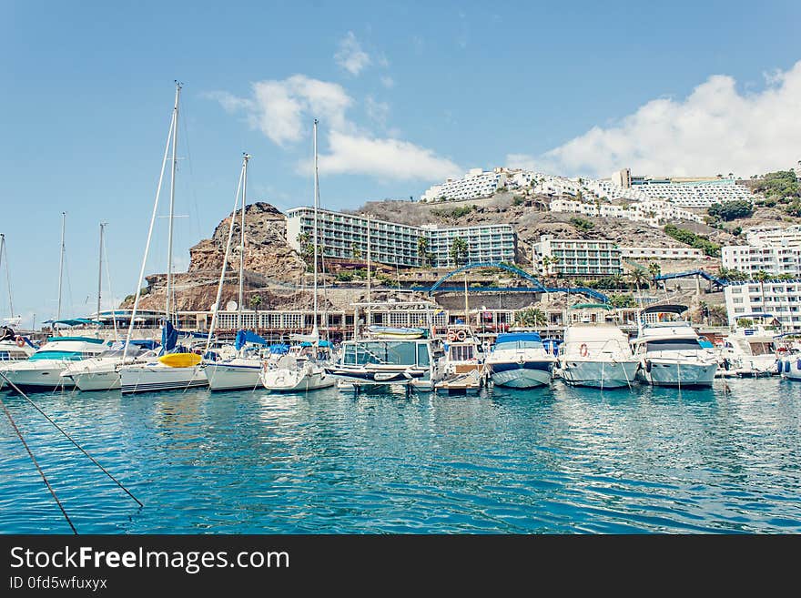 Sailboats Moored in Sea