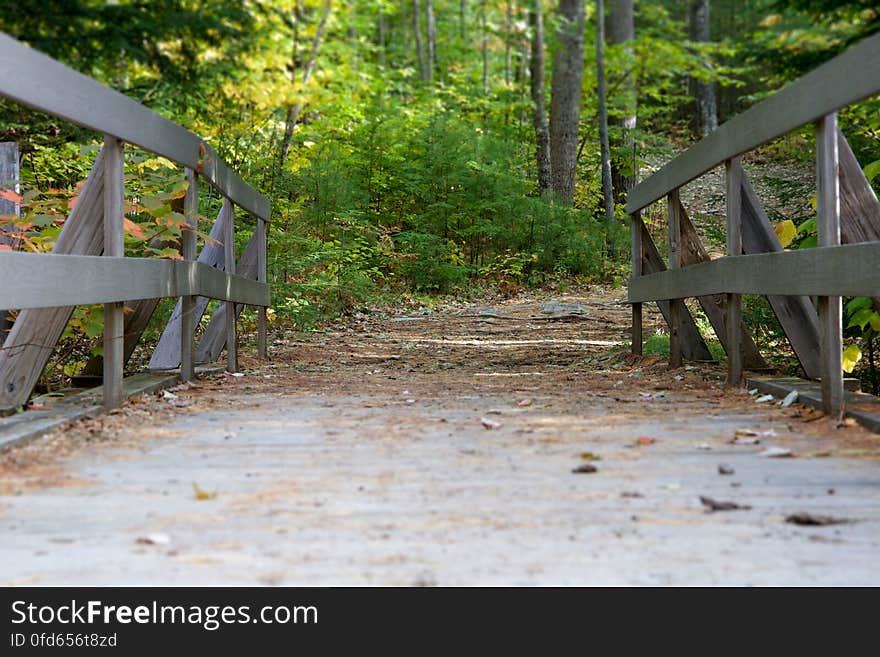 Wooden railing on bridge in sunny forest. Wooden railing on bridge in sunny forest.