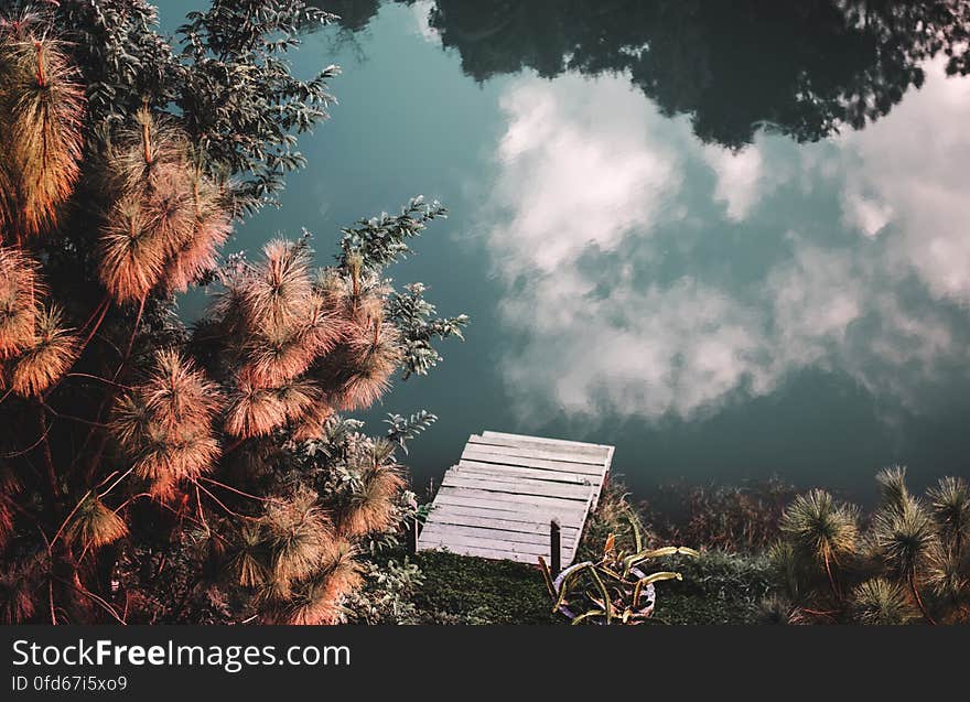 Scenic view of clouds reflecting on lake in countryside surrounded by plants. Scenic view of clouds reflecting on lake in countryside surrounded by plants.