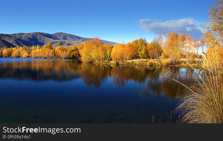 The Wairepo Arm is a part of the bigger Lake Ruataniwha, located near Twizel on New Zealand’s South Island. The entire South Island is one of the most photogenic places I’ve been; it seems that at ever turn in the road or over ever hill crest is another stunning landscape begging to be photographed. The Wairepo Arm is a part of the bigger Lake Ruataniwha, located near Twizel on New Zealand’s South Island. The entire South Island is one of the most photogenic places I’ve been; it seems that at ever turn in the road or over ever hill crest is another stunning landscape begging to be photographed.