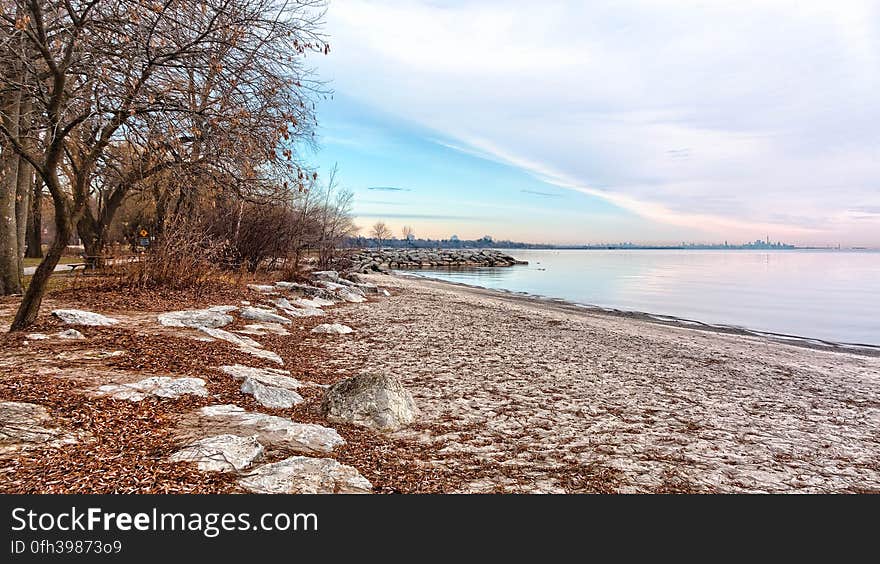 Jack Darling Park with the skyline of Toronto visible in the distance on the right. Jack Darling Park with the skyline of Toronto visible in the distance on the right.