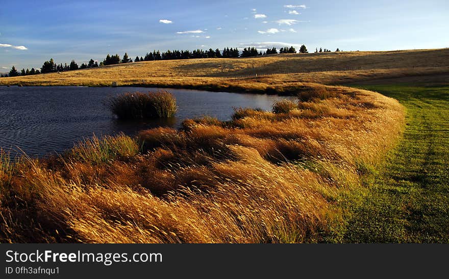 The Cairns Golf is designed to be a fun golf course, with strategy being a key objective whilst taking in some stunning views of both the McKenzie Basin and the Tekapo area. The 9 hole course invites the player to â€œgo for the greenâ€, but the penalty for failure may be severe. There is always a â€œbail out â€œ option . You donâ€™t have to go for the dramatic shot and playing conditions on the day may be a key factor in the decision. The Cairns Golf is designed to be a fun golf course, with strategy being a key objective whilst taking in some stunning views of both the McKenzie Basin and the Tekapo area. The 9 hole course invites the player to â€œgo for the greenâ€, but the penalty for failure may be severe. There is always a â€œbail out â€œ option . You donâ€™t have to go for the dramatic shot and playing conditions on the day may be a key factor in the decision.