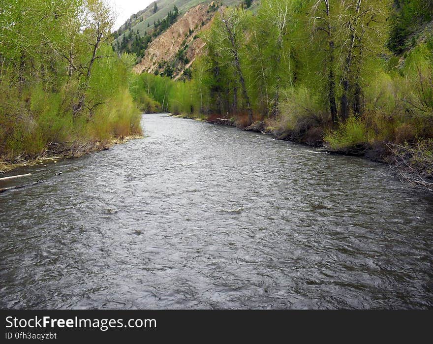 The Big Wood River flows through communities of the Wood River Valley of south-central Idaho. It is one of eight sites at which the USGS is conducting an ecological assessment during the summer of 2014. Study results will be published in 2015. ​ ​Location:​ ​​Hailey, ID, USA. Credit: Dorene ​ ​MacCoy,USGS​.