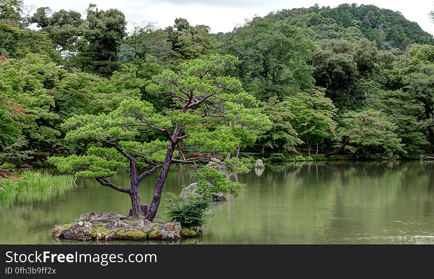 These gardens are from the Muromachi period, considered to be the classical age of Japanese garden design. These gardens are from the Muromachi period, considered to be the classical age of Japanese garden design.