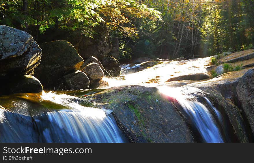 Stream and Light in Autumn