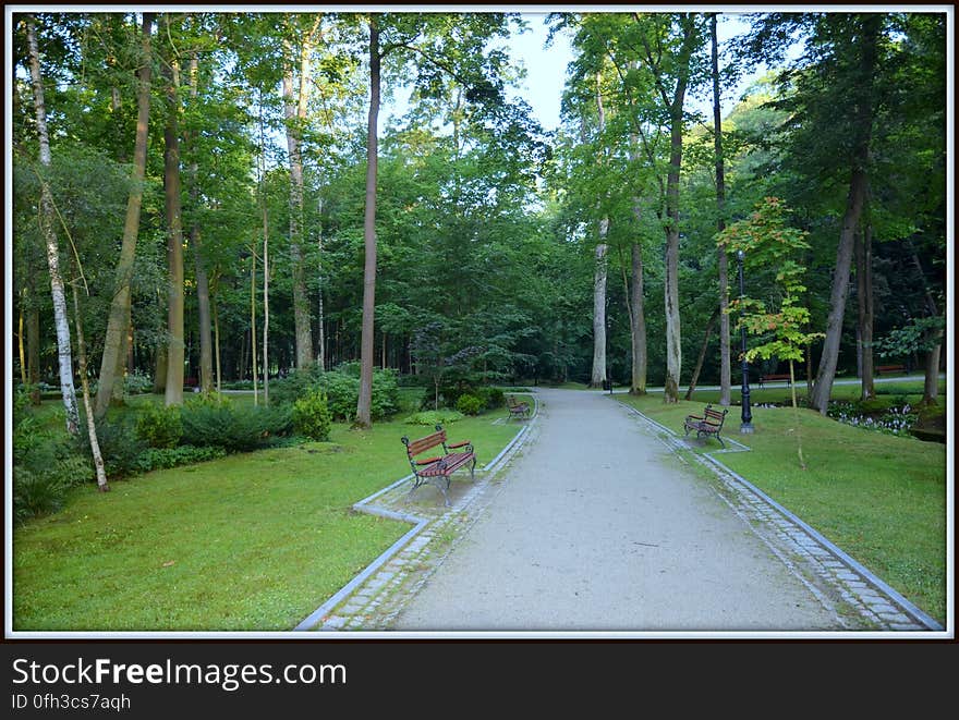 Park Kudowa Zdrój Poland