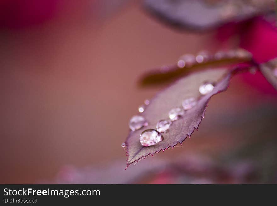 Rainy Day Macro 2