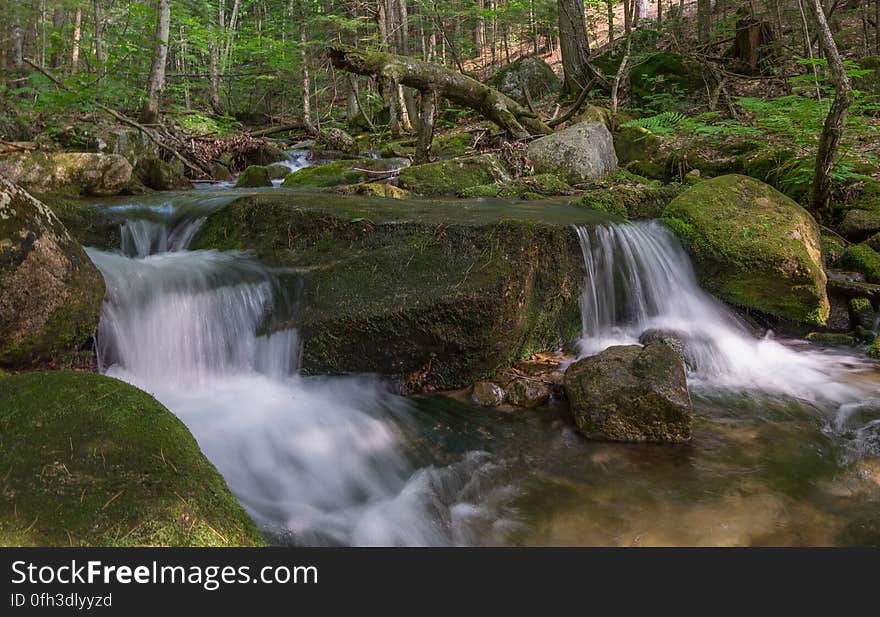 Gentle brook.