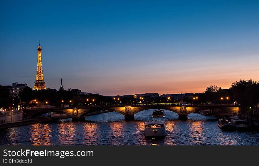 Taken from the Pont Alexandre III. Taken from the Pont Alexandre III.