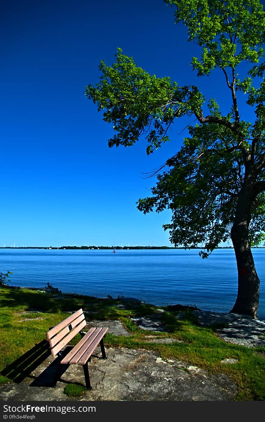 The positioning of benches of often curious. Typically they are placed to provide a suitable view of the surroundings or to provide social gathering space with others on other benches. Sometimes the positon of a bench may seem inappropriate. Here on the shores of Lake Ontario in Kingston, Ontario, the bench seems to be missplaced. It would seem that the view to be promotted should be the lake and Wolf Island beyond. During most of the day, this is a pleasant view of the windmills on the island as well as the frequent sailcraft on the lake. In order to take in this view, one must either sit sideways on the bench or turn one&#x27;s head awkwardly to the left, risking future neck strain induced soreness. What one does not realize during the day is that this bench deliberately facing west so as to be ideally located to take in the spectacular sunsets in the evening over Lake Ontario. I must return to this spot another day when I have no evening obligations. The positioning of benches of often curious. Typically they are placed to provide a suitable view of the surroundings or to provide social gathering space with others on other benches. Sometimes the positon of a bench may seem inappropriate. Here on the shores of Lake Ontario in Kingston, Ontario, the bench seems to be missplaced. It would seem that the view to be promotted should be the lake and Wolf Island beyond. During most of the day, this is a pleasant view of the windmills on the island as well as the frequent sailcraft on the lake. In order to take in this view, one must either sit sideways on the bench or turn one&#x27;s head awkwardly to the left, risking future neck strain induced soreness. What one does not realize during the day is that this bench deliberately facing west so as to be ideally located to take in the spectacular sunsets in the evening over Lake Ontario. I must return to this spot another day when I have no evening obligations.