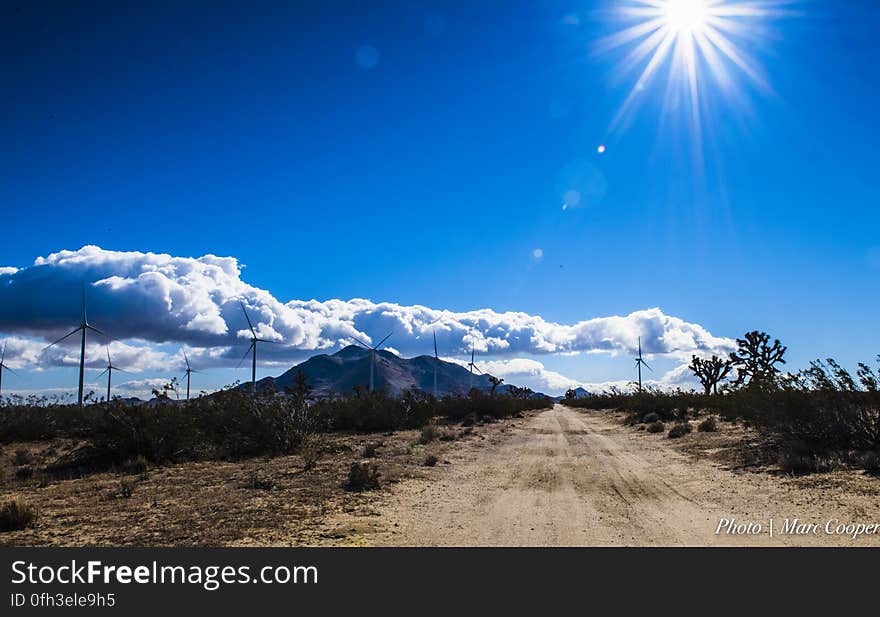 Mojave Desert CA. Mojave Desert CA