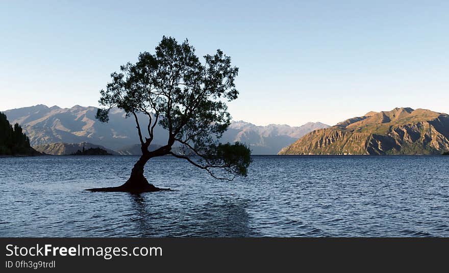 A hidden gem of New Zealand, the spectacular Lake Wanaka area is framed by the South Island’s dazzling Southern Alps. On the doorstep of Mount Aspiring National Park, a World Heritage Site, the daily schedule includes exploring alpine-laced peaks, roaring waterfalls, immense glaciers and lush rain forests. Retire to hip villages whose eclectic and friendly locals are eager to share their favorite tips with visitors. Be sure to inquire about the location of the famed &#x28;and very photogenic&#x29; Lone Tree of Lake Wanaka. A hidden gem of New Zealand, the spectacular Lake Wanaka area is framed by the South Island’s dazzling Southern Alps. On the doorstep of Mount Aspiring National Park, a World Heritage Site, the daily schedule includes exploring alpine-laced peaks, roaring waterfalls, immense glaciers and lush rain forests. Retire to hip villages whose eclectic and friendly locals are eager to share their favorite tips with visitors. Be sure to inquire about the location of the famed &#x28;and very photogenic&#x29; Lone Tree of Lake Wanaka.