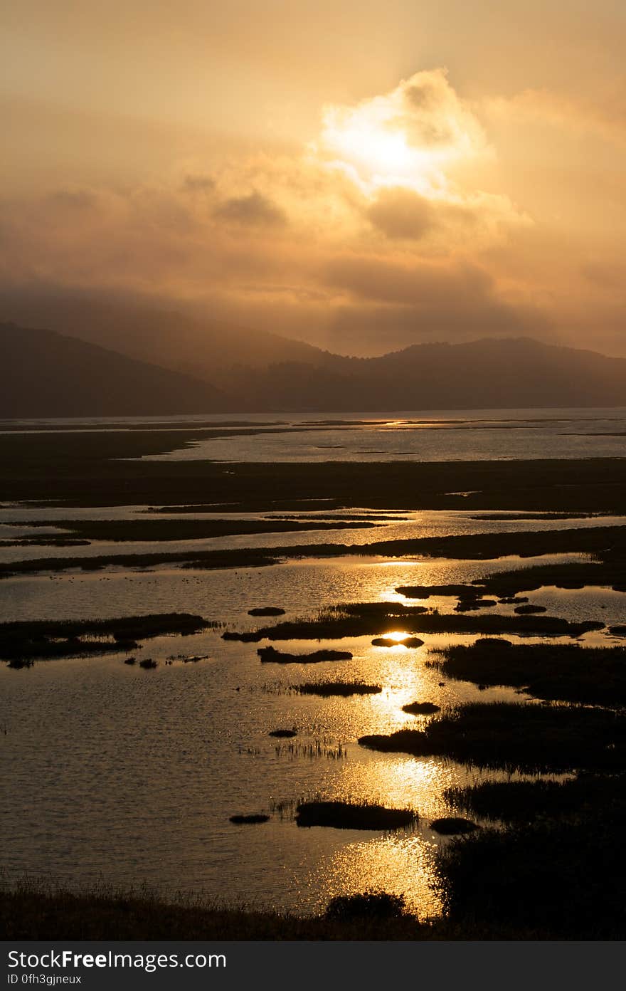 Tomales Bay